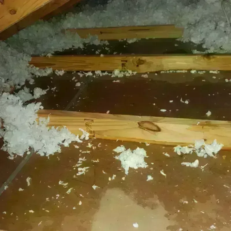 Attic Water Damage in Kellyville, OK