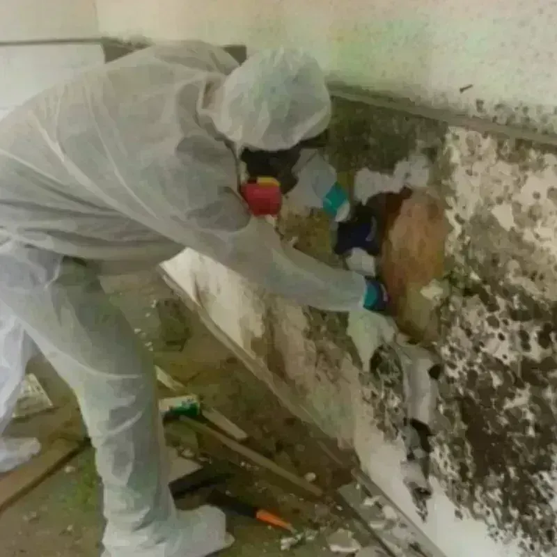 Mold Remediation and Removal in Kellyville, OK