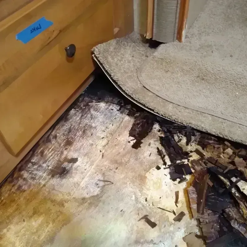 Wood Floor Water Damage in Kellyville, OK